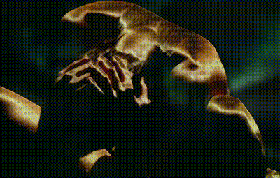 Animus - Série en mouvement