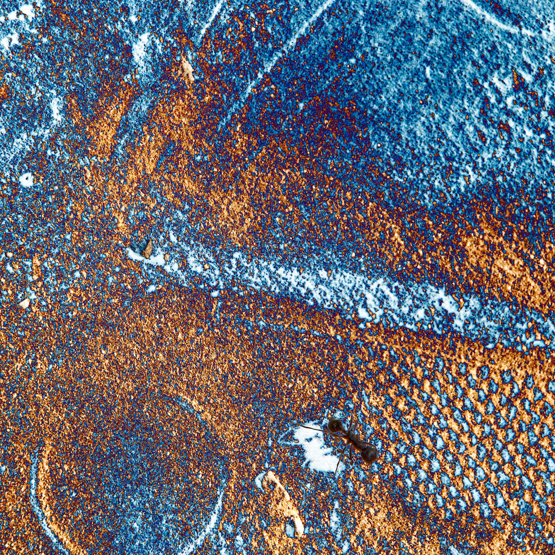 Bleue Comme Une Orange