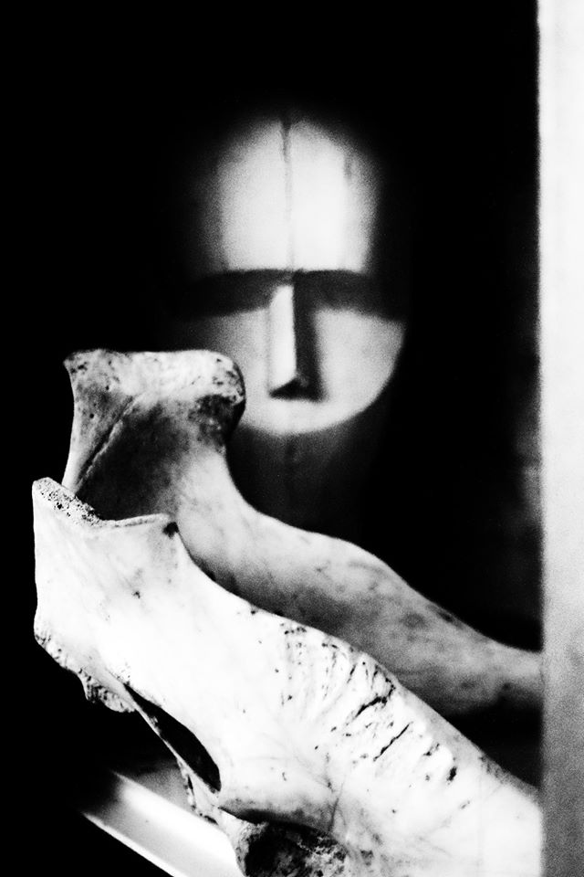 Os - Fragilité et permanence